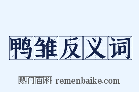 鸭雏反义词是什么意思的图片